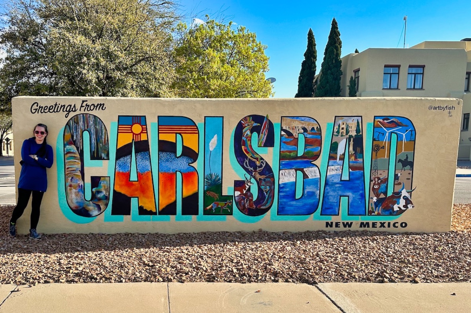 Private jet charter to Carlsbad