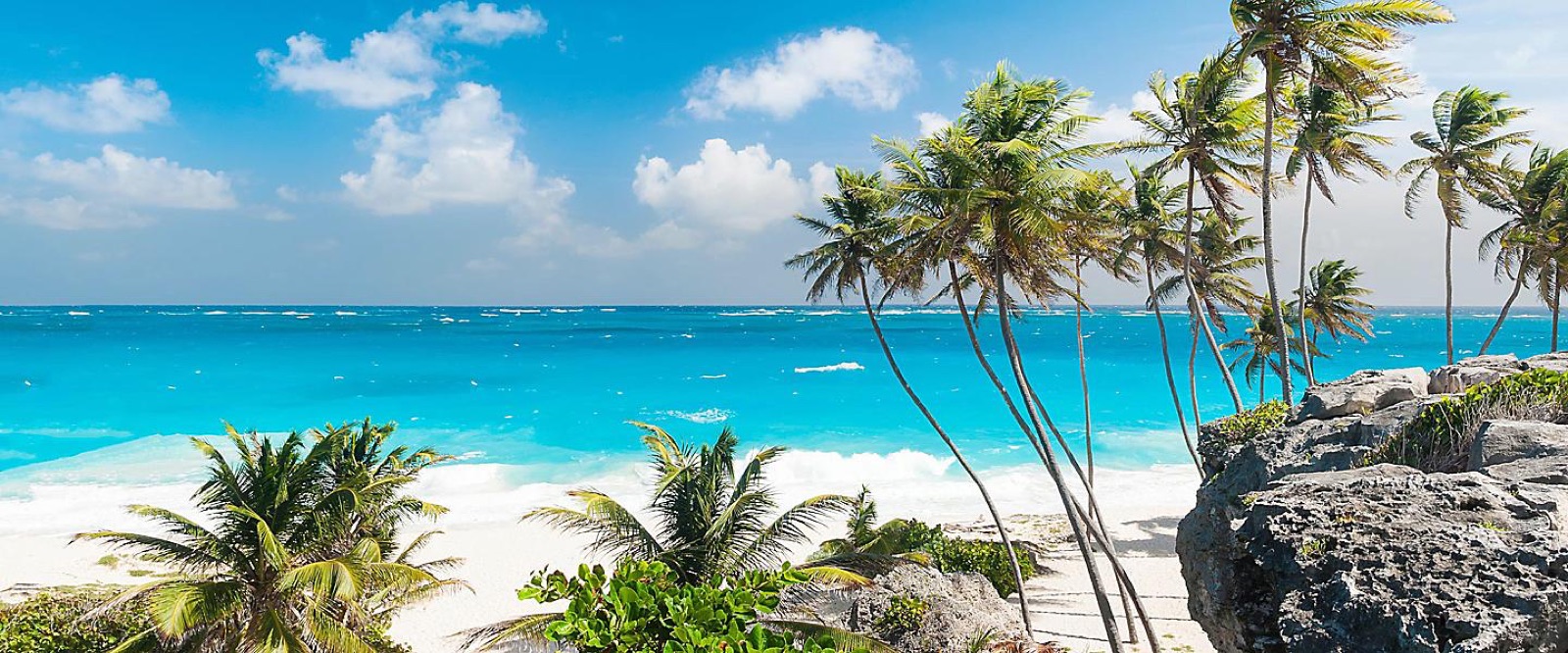 Chartering a Private Jet for a Family of Eight with Young Children: What We Learned