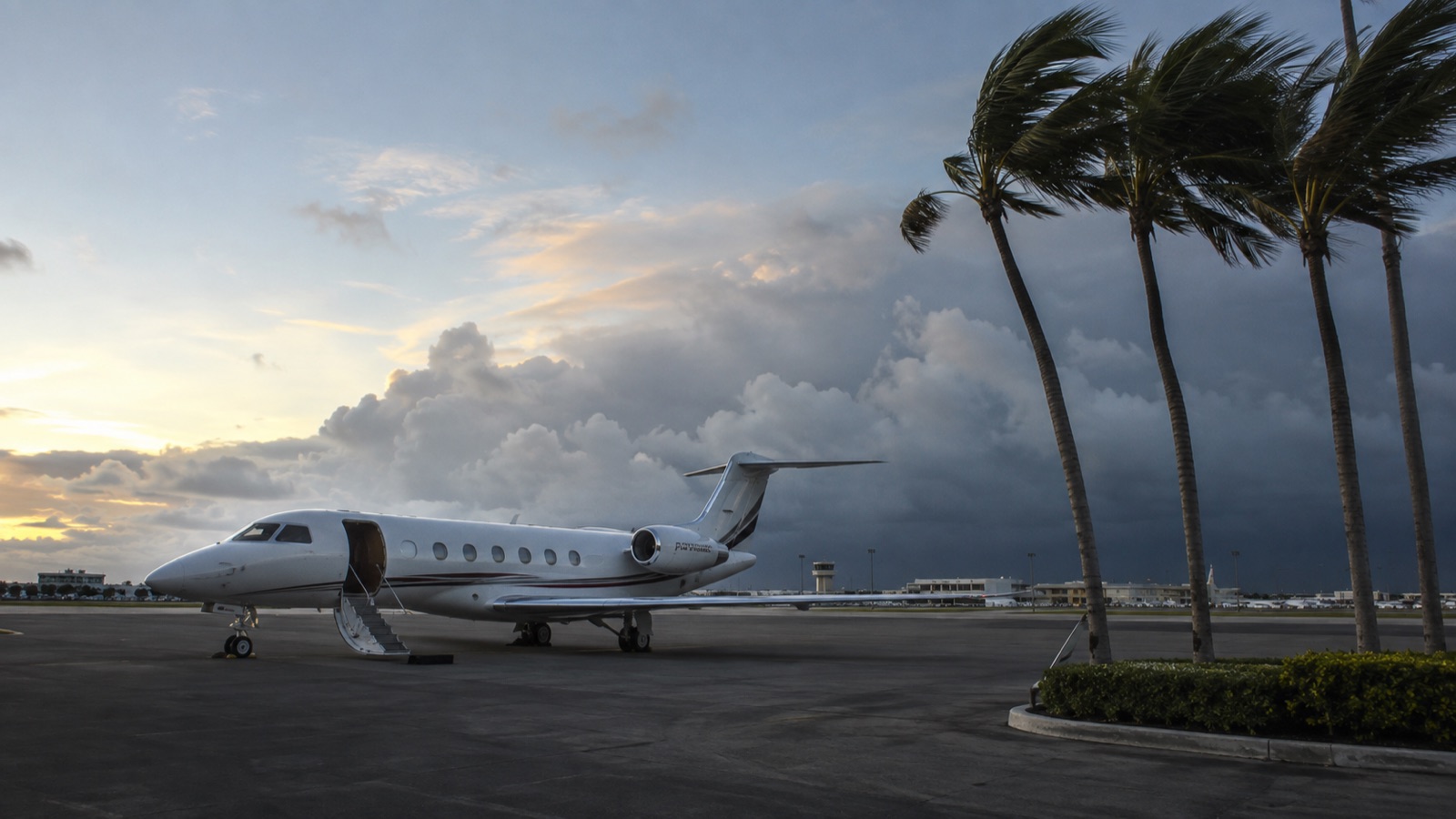Palm trees bending in the wind as a storm front builds over a Florida airport